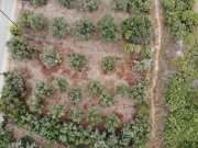 Almyrida Kreta, Almyrida: Grundstück mit Baurechten und Meerblick zu verkaufen Grundstück kaufen